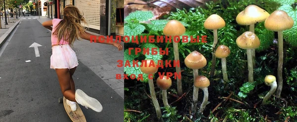 марки nbome Абаза