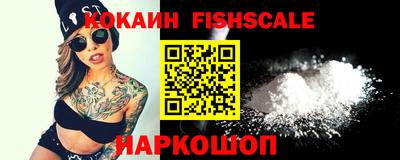 индика Камышлов