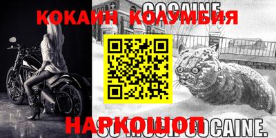 индика Камышлов