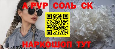 индика Камышлов