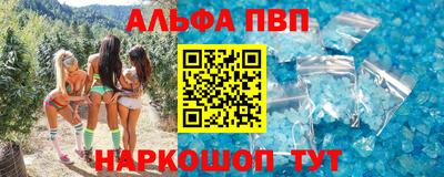 индика Камышлов
