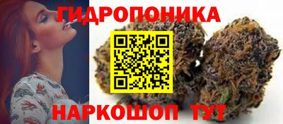 a pvp Канаш