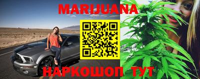 индика Камышлов
