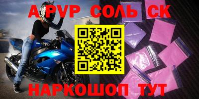 индика Камышлов