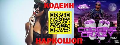 индика Камышлов