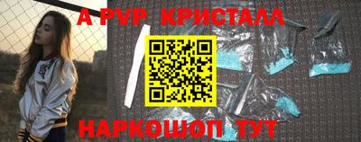 индика Камышлов