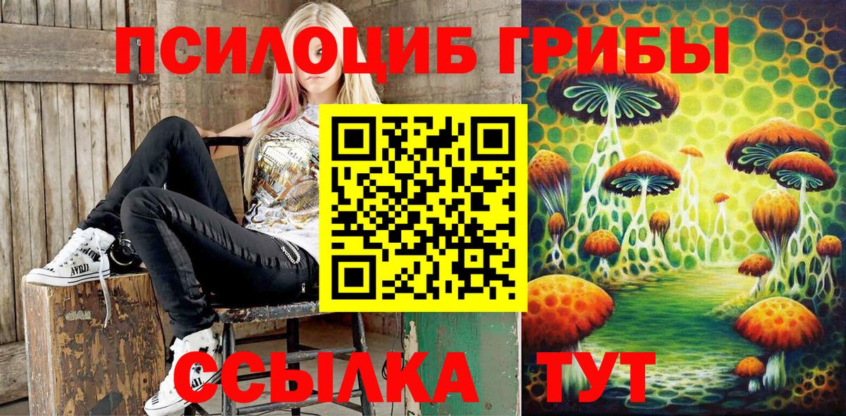 Псилоцибиновые грибы мицелий Октябрьский